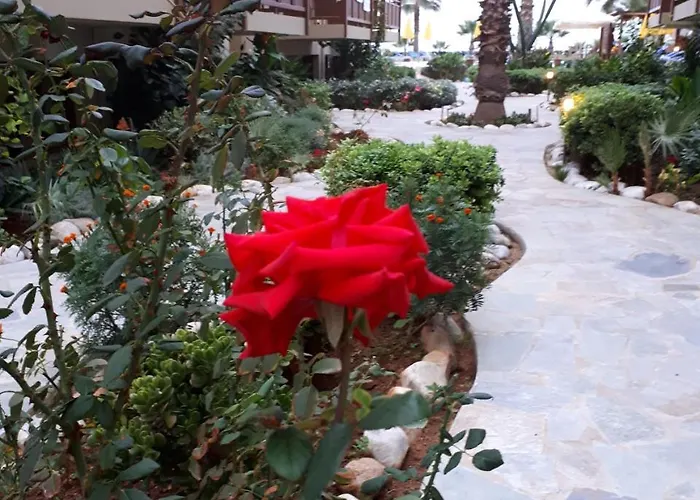 Ilian & 4* Réthymnon